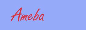 sinónimo de Ameba