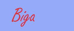 sinónimo de Biga