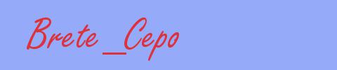 sinónimo de Brete_Cepo