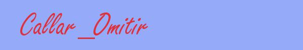 sinónimo de Callar_Omitir