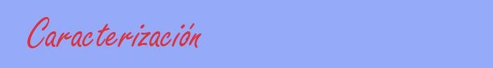 sinónimo de Caracterización
