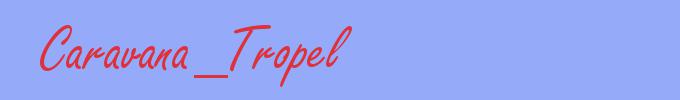 sinónimo de Caravana_Tropel