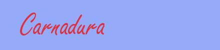 sin&oacute;nimo de Carnadura