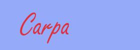 sinónimo de Carpa