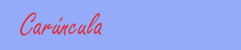 sinónimo de Carúncula