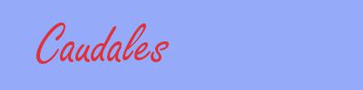 sinónimo de Caudales