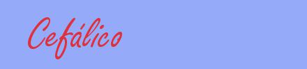 sin&oacute;nimo de Cefálico