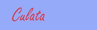 sinónimo de Culata