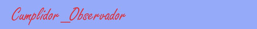 sinónimo de Cumplidor_Observador
