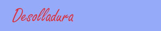 sinónimo de Desolladura