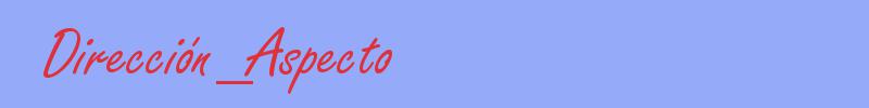 sinónimo de Dirección_Aspecto