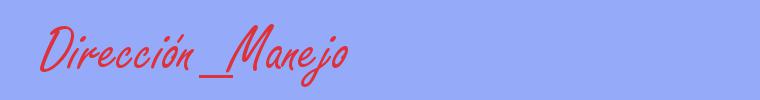 sinónimo de Dirección_Manejo