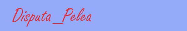 sinónimo de Disputa_Pelea