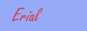 sinónimo de Erial