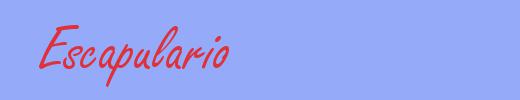 sinónimo de Escapulario