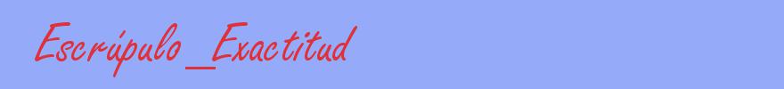 sinónimo de Escrúpulo_Exactitud