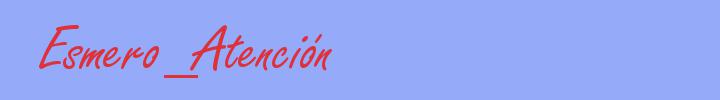 sinónimo de Esmero_Atención
