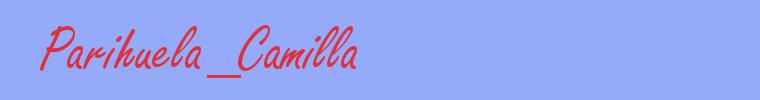 sinónimo de Parihuela_Camilla