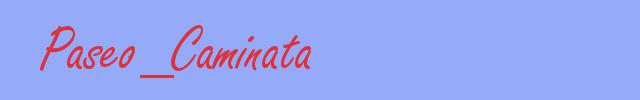 sinónimo de Paseo_Caminata