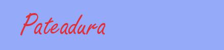 sinónimo de Pateadura