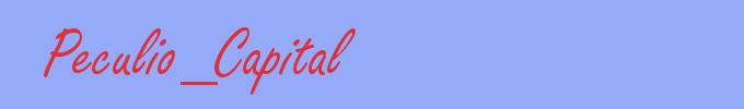 sinónimo de Peculio_Capital
