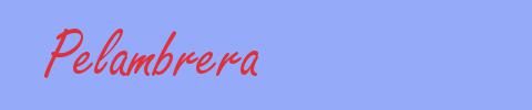 sinónimo de Pelambrera