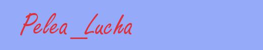 sinónimo de Pelea_Lucha