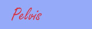 sinónimo de Pelvis