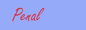 sinónimo de Penal