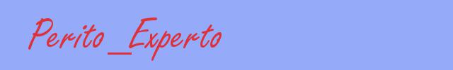 sinónimo de Perito_Experto