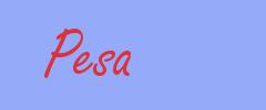 sinónimo de Pesa