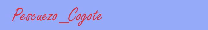 sinónimo de Pescuezo_Cogote