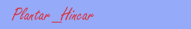 sinónimo de Plantar_Hincar