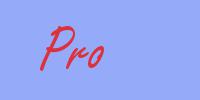 sinónimo de Pro