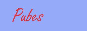 sinónimo de Pubes
