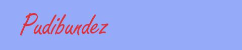 sinónimo de Pudibundez