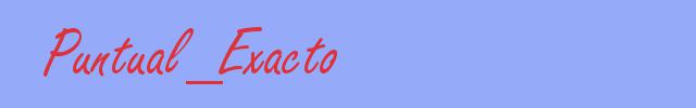 sinónimo de Puntual_Exacto