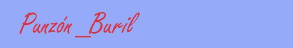 sinónimo de Punzón_Buril