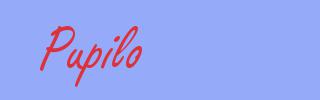 sinónimo de Pupilo