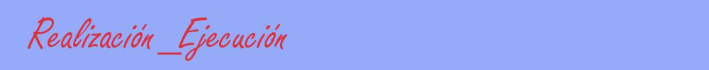 sinónimo de Realización_Ejecución