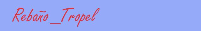 sinónimo de Rebaño_Tropel