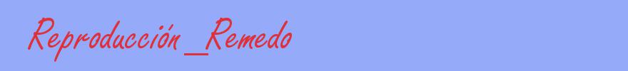 sinónimo de Reproducción_Remedo