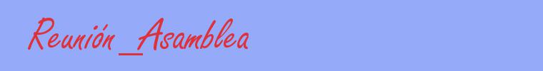 sinónimo de Reunión_Asamblea