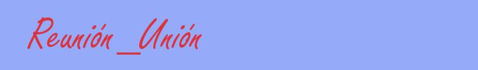 sinónimo de Reunión_Unión
