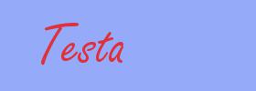 sinónimo de Testa