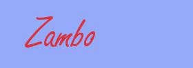 sinónimo de Zambo
